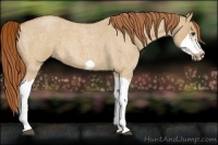 Horse Color:Red Dun Roan Splash Frame Rabicano 