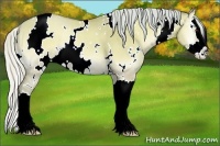 Horse Color:Watercolor White Spotted Silver Classic Champagne Onyx Splash Rabicano 