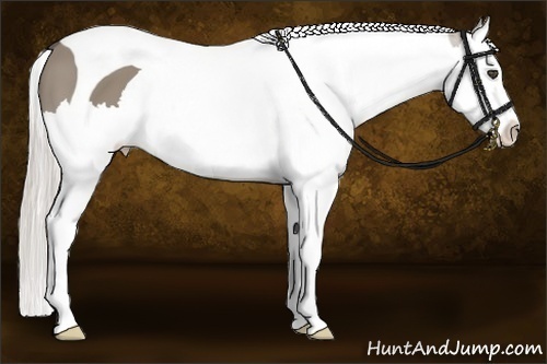 Horse Color:Silver Grullo Splash Tobiano 
