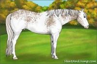 Horse Color:White Spotted Silver Buckskin Ice 