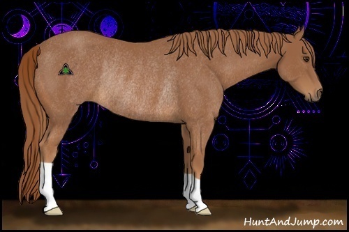 Horse Color:Chestnut Rabicano
