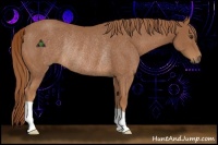 Horse Color:Chestnut Rabicano 