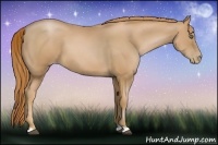 Horse Color:Chestnut Pearl Frame