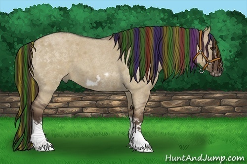 Horse Color:Painted Liver Red Dun Roan Splash Frame Rabicano