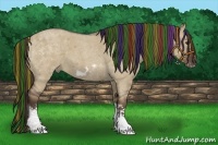 Horse Color:Painted Liver Red Dun Roan Splash Frame Rabicano