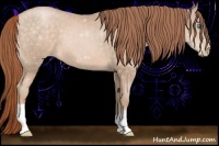 Horse Color:Buckskin Pearl 