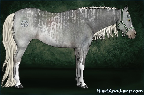 Horse Color:Liver Red Roan Rabicano and Liver Red Roan Rabicano