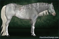 Horse Color:Liver Red Roan Rabicano  and Liver Red Roan Rabicano 