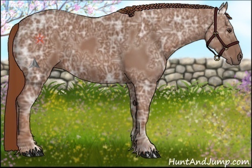 Horse Color:Chestnut Ice 