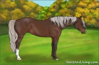 Horse Color:Silver Brown 