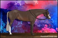 Horse Color:Silver Brown