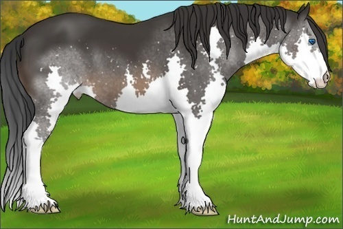 Horse Color:Brown Splash 