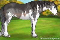 Horse Color:Brown Splash
