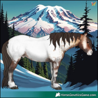 Horse Color:Brown Onyx Near Fewspot and Brown Onyx Near Fewspot