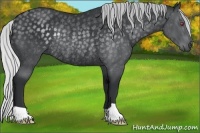 Horse Color:Silver Black Chinchilla Rabicano