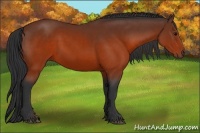 Horse Color:Brown 