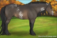 Horse Color:White Spotted Buckskin