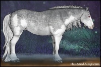 Horse Color:Silver Blue Chinchilla Roan Splash 