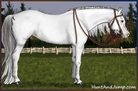 Horse Color:Liver Red Onyx Sabino Splash Blanket and Liver Red Onyx Sabino Splash Blanket