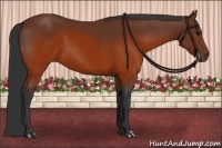Horse Color:Brown and Brown