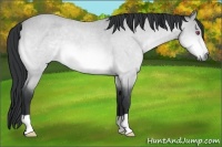 Horse Color:Bay Chinchilla Roan 