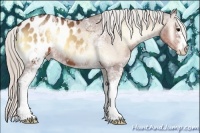Horse Color:White Spotted Silver Brown Onyx Appaloosa 