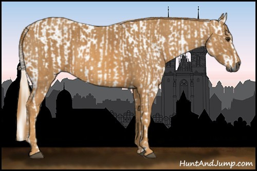 Horse Color:Gray Red Dun  Brindle