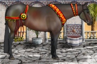 Horse Color:Bay Rabicano 