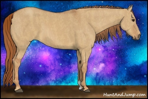 Horse Color:Red Dun  Brindle