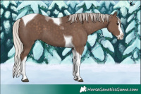 Horse Color:Silver Black Sabino Splash Tobiano