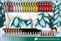 Horse Color:Silver Bay Ice Dun Sabino Splash 