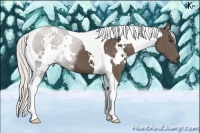 Horse Color:White Spotted Silver Black Tobiano 