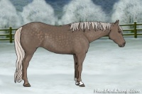 Horse Color:Silver Black Sabino Frame