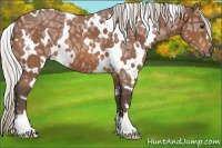 Horse Color:White Spotted Silver Bay Ice Roan