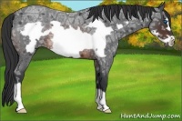 Horse Color:Brown Ice Roan Frame