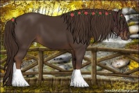 Horse Color:Liver Chestnut Frame  and Liver Chestnut Frame 