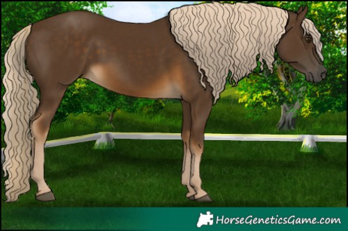 Horse Color:Chocolate Palomino