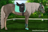 Horse Color:Chocolate Palomino 