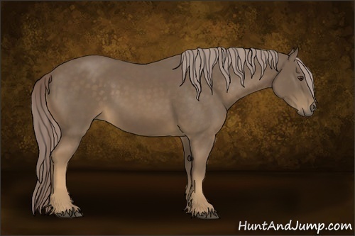 Horse Color:Chocolate Palomino Sabino