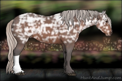 Horse Color:Silver Bay Ice 