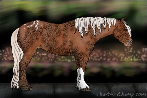 Horse Color:Silver Bay Ice Appaloosa