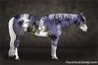 Horse Color:Watercolor White Spotted Silver Brown Ice