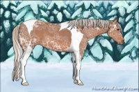 Horse Color:Silver Bay Ice Tobiano