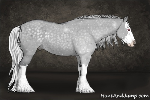 Horse Color:Silver Grullo Chinchilla Splash Rabicano 