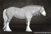 Horse Color:Silver Grullo Chinchilla Splash Rabicano