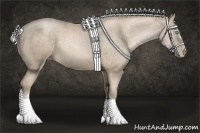 Horse Color:Chocolate Palomino Pearl 