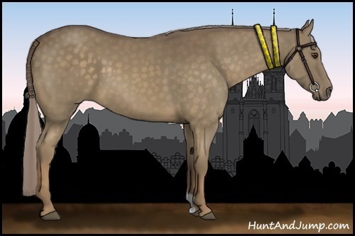 Horse Color:Chocolate Palomino 