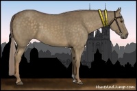 Horse Color:Chocolate Palomino