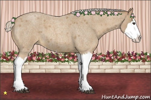 Horse Color:Palomino Roan Splash 