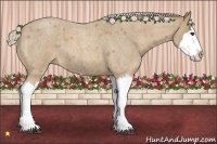 Horse Color:Palomino Roan Splash